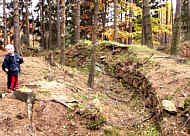 Die Mauer-Reste der Burg Grimmstein