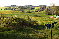 Blick über die Wiesen des östlichen Ortsrandes