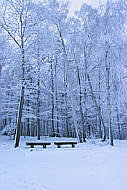 Einsame Aussichtsbnke am abendlichen Winterwald