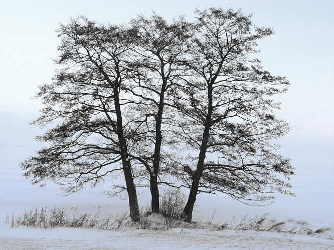 Zurck zur Wanderung