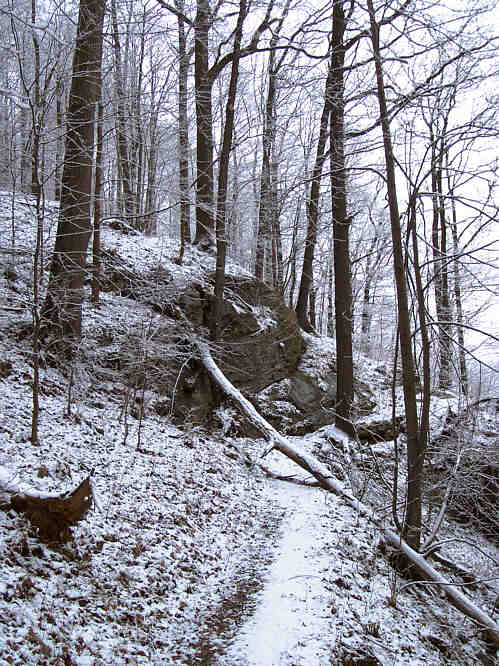 Zurck zur Wanderung