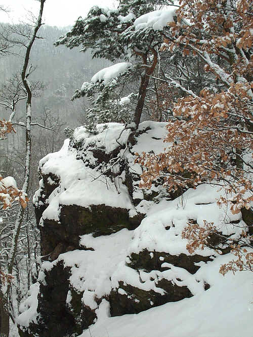 Zurck zur Wanderung