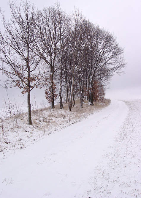 Zurck zur Wanderung