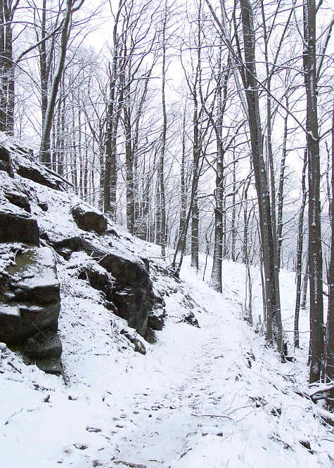 Zurck zur Wanderung