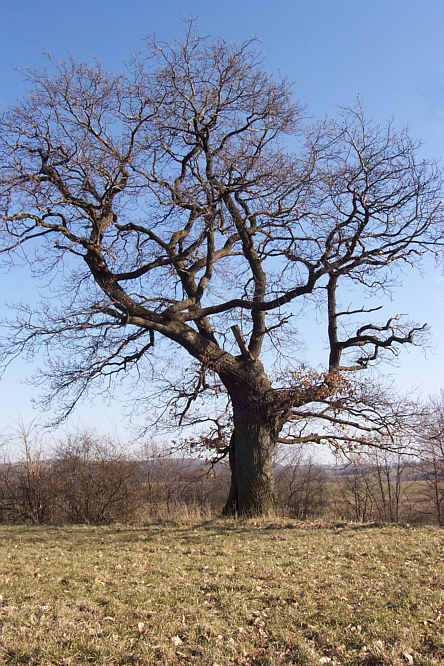 Zurck zur Wanderung