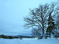 Abendlicher Blick vom Birkenhbel in Richtung Wilisch