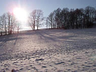 Blick ber die Wiese in die Sonne