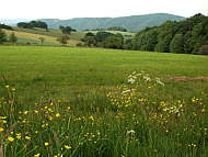 Blick zum Mglitztal