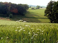 Rckblick auf die zu zurckgelegte Wegstrecke