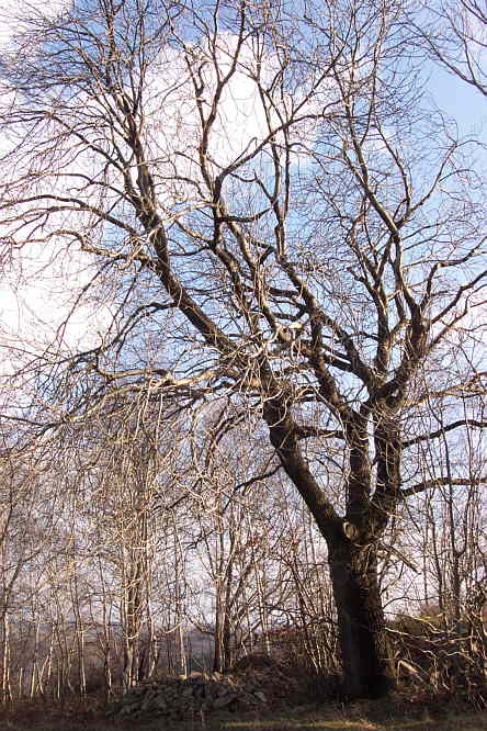 Zur�ck zur Wanderung