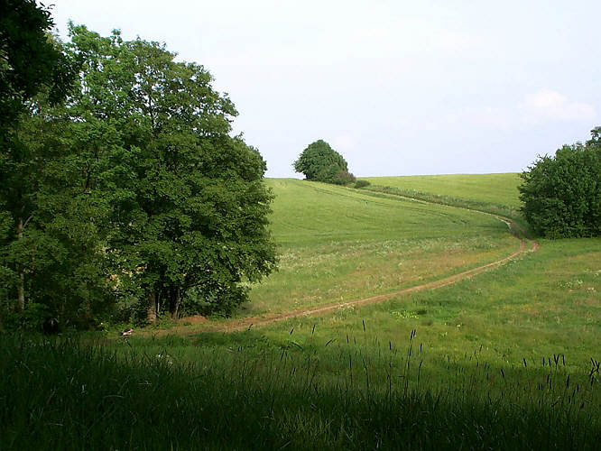 Zurck zur Wanderung