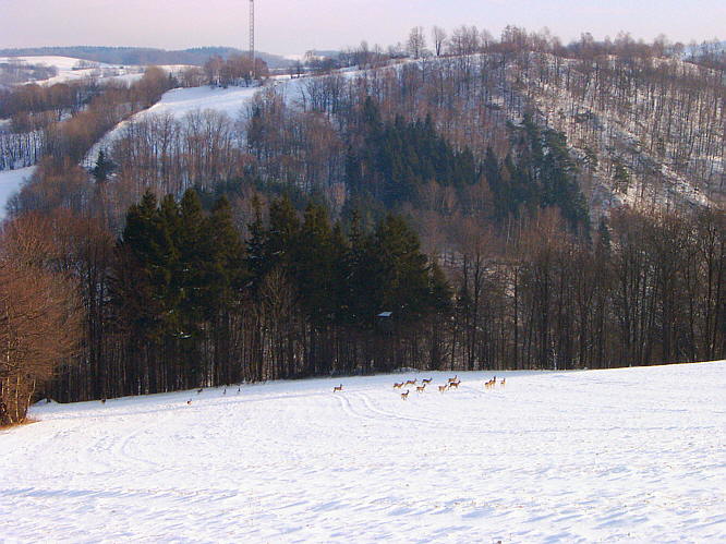 Zurck zur Wanderung