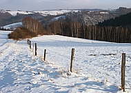 An der Einmndung des Fahrweges in die Wiese