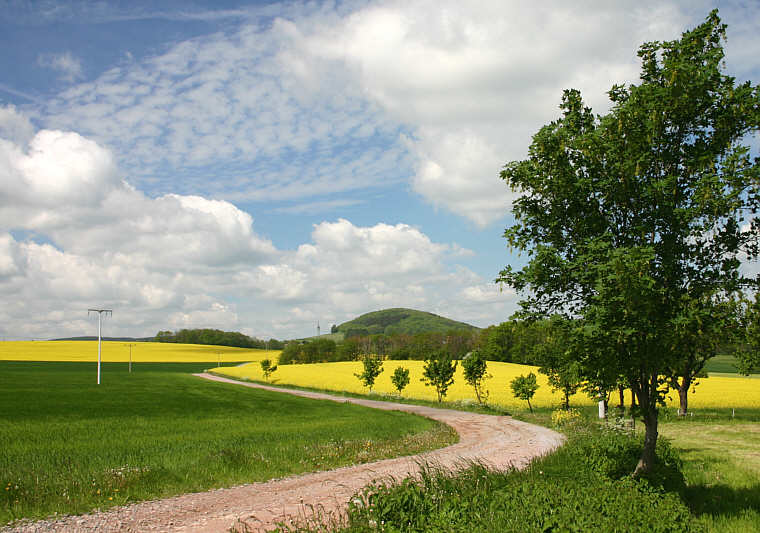 Zurck zur Wanderung