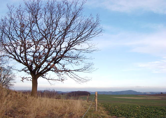 Zurck zur Wanderung